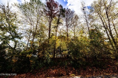 RARE LAKEFRONT LOT now available in beautiful Tanasi Coves! on Tanasi Golf Course in Tennessee - for sale on GolfHomes.com, golf home, golf lot