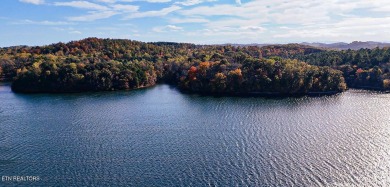 RARE LAKEFRONT LOT now available in beautiful Tanasi Coves! on Tanasi Golf Course in Tennessee - for sale on GolfHomes.com, golf home, golf lot