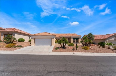 EXCEPTIONAL, WELL MAINTAINED GOLF COURSE FRONTAGE PROPERTY. The on Highland Falls Golf Club in Nevada - for sale on GolfHomes.com, golf home, golf lot
