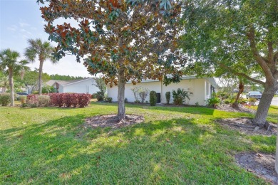 Welcome to 2115 N Halcyon, Sun City Center, FL - Located in the on Falcon Watch Golf Club in Florida - for sale on GolfHomes.com, golf home, golf lot