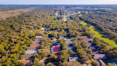 Short Sale. Gourmet kitchen, sun-filled lanai, and a brand-new on Halifax Plantation Golf Club in Florida - for sale on GolfHomes.com, golf home, golf lot
