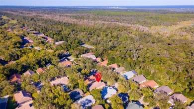 Short Sale. Gourmet kitchen, sun-filled lanai, and a brand-new on Halifax Plantation Golf Club in Florida - for sale on GolfHomes.com, golf home, golf lot
