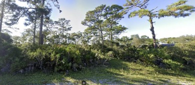 Come build your forever home or a multi-family home on this half on Indian Lake Estates Golf and Country Club in Florida - for sale on GolfHomes.com, golf home, golf lot