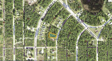 Come build your forever home or a multi-family home on this half on Indian Lake Estates Golf and Country Club in Florida - for sale on GolfHomes.com, golf home, golf lot
