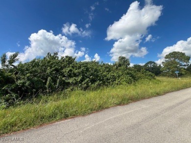 Super nice duplex lot. Fronts two streets with the Westminster on Westminster Golf Club in Florida - for sale on GolfHomes.com, golf home, golf lot