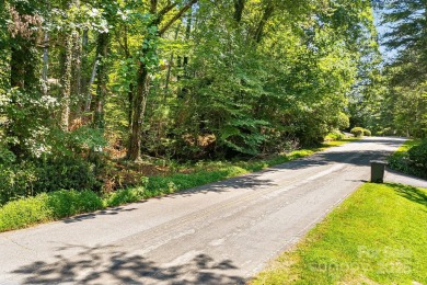 Rare opportunity to own one of the few remaining undeveloped on Etowah Valley Golf Club in North Carolina - for sale on GolfHomes.com, golf home, golf lot
