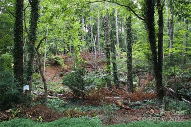 Rare opportunity to own one of the few remaining undeveloped on Etowah Valley Golf Club in North Carolina - for sale on GolfHomes.com, golf home, golf lot
