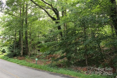 Rare opportunity to own one of the few remaining undeveloped on Etowah Valley Golf Club in North Carolina - for sale on GolfHomes.com, golf home, golf lot
