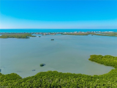 It's all about the view.  This tastefully designed residence on Bonita Bay West in Florida - for sale on GolfHomes.com, golf home, golf lot