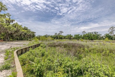 Unique Opportunity for 1-2 Estate sized homes in Ocean Forest on  in Georgia - for sale on GolfHomes.com, golf home, golf lot