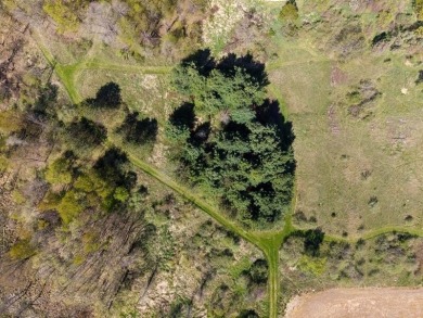 Extremely hard to find 90 Contiguous Acres with frontage on 2 on Holland Lake Golf Course Inc. in Michigan - for sale on GolfHomes.com, golf home, golf lot