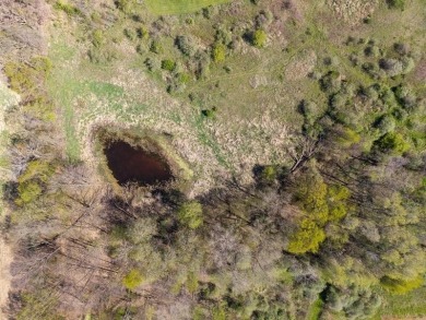 Extremely hard to find 90 Contiguous Acres with frontage on 2 on Holland Lake Golf Course Inc. in Michigan - for sale on GolfHomes.com, golf home, golf lot