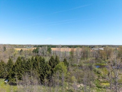 Extremely hard to find 90 Contiguous Acres with frontage on 2 on Holland Lake Golf Course Inc. in Michigan - for sale on GolfHomes.com, golf home, golf lot