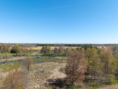 Extremely hard to find 90 Contiguous Acres with frontage on 2 on Holland Lake Golf Course Inc. in Michigan - for sale on GolfHomes.com, golf home, golf lot
