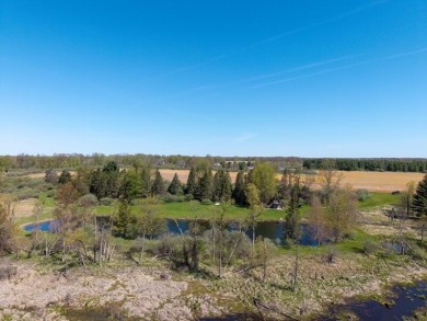 Extremely hard to find 90 Contiguous Acres with frontage on 2 on Holland Lake Golf Course Inc. in Michigan - for sale on GolfHomes.com, golf home, golf lot