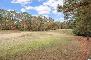 Panoramic GOLF COURSE VIEW on the 9th tee box of Inverness Golf on Inverness Country Club in Alabama - for sale on GolfHomes.com, golf home, golf lot