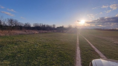 Extremely hard to find 90 Contiguous Acres with frontage on 2 on Holland Lake Golf Course Inc. in Michigan - for sale on GolfHomes.com, golf home, golf lot