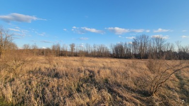 Extremely hard to find 90 Contiguous Acres with frontage on 2 on Holland Lake Golf Course Inc. in Michigan - for sale on GolfHomes.com, golf home, golf lot