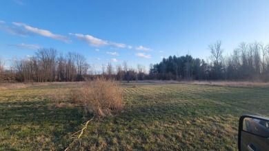Extremely hard to find 90 Contiguous Acres with frontage on 2 on Holland Lake Golf Course Inc. in Michigan - for sale on GolfHomes.com, golf home, golf lot