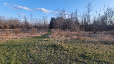 Extremely hard to find 90 Contiguous Acres with frontage on 2 on Holland Lake Golf Course Inc. in Michigan - for sale on GolfHomes.com, golf home, golf lot