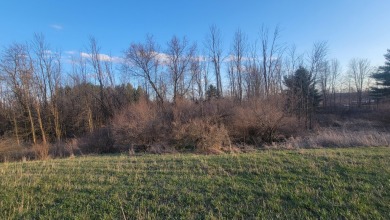 Extremely hard to find 90 Contiguous Acres with frontage on 2 on Holland Lake Golf Course Inc. in Michigan - for sale on GolfHomes.com, golf home, golf lot