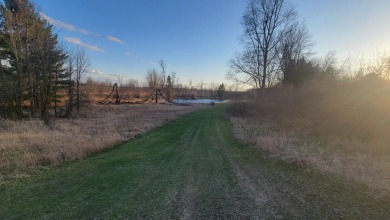 Extremely hard to find 90 Contiguous Acres with frontage on 2 on Holland Lake Golf Course Inc. in Michigan - for sale on GolfHomes.com, golf home, golf lot