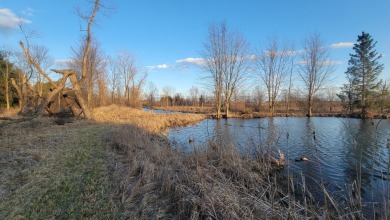 Extremely hard to find 90 Contiguous Acres with frontage on 2 on Holland Lake Golf Course Inc. in Michigan - for sale on GolfHomes.com, golf home, golf lot