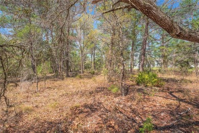 Build your dream home in the desirable Oak Village of Sugarmill on Sugarmill Woods Golf and Country Club in Florida - for sale on GolfHomes.com, golf home, golf lot