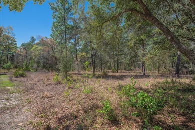 Build your dream home in the desirable Oak Village of Sugarmill on Sugarmill Woods Golf and Country Club in Florida - for sale on GolfHomes.com, golf home, golf lot