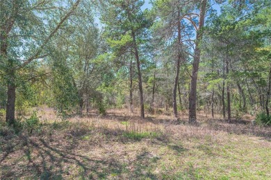 Build your dream home in the desirable Oak Village of Sugarmill on Sugarmill Woods Golf and Country Club in Florida - for sale on GolfHomes.com, golf home, golf lot