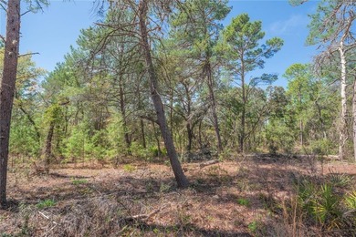 Build your dream home in the desirable Oak Village of Sugarmill on Sugarmill Woods Golf and Country Club in Florida - for sale on GolfHomes.com, golf home, golf lot