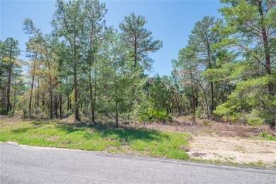 Build your dream home in the desirable Oak Village of Sugarmill on Sugarmill Woods Golf and Country Club in Florida - for sale on GolfHomes.com, golf home, golf lot