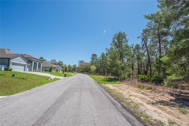 Build your dream home in the desirable Oak Village of Sugarmill on Sugarmill Woods Golf and Country Club in Florida - for sale on GolfHomes.com, golf home, golf lot