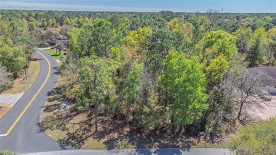 Build your dream home in the highly desirable Sugarmill Woods - on Sugarmill Woods Golf and Country Club in Florida - for sale on GolfHomes.com, golf home, golf lot