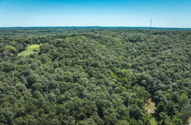 Looking for the ultimate hunting, fishing and boating retreat? on Meramec Lakes Golf Course in Missouri - for sale on GolfHomes.com, golf home, golf lot