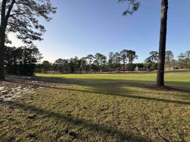 FURNISHED! LOW MAINTENANCE! Golf View Villa condo overlooking on Rayburn Country Club in Texas - for sale on GolfHomes.com, golf home, golf lot