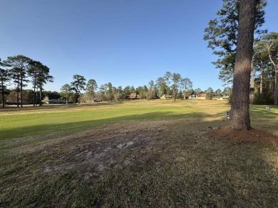 FURNISHED! LOW MAINTENANCE! Golf View Villa condo overlooking on Rayburn Country Club in Texas - for sale on GolfHomes.com, golf home, golf lot