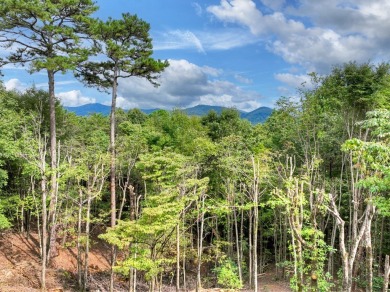 This charming 3BR/3BA RANCH HOME offers year-round MOUNTAIN on White Path Golf Club in Georgia - for sale on GolfHomes.com, golf home, golf lot