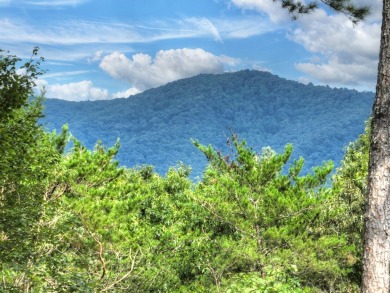 This charming 3BR/3BA RANCH HOME offers year-round MOUNTAIN on White Path Golf Club in Georgia - for sale on GolfHomes.com, golf home, golf lot