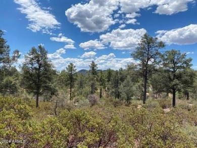 EXTRAORDINARY VIEWS OF THE MOGOLLON RIM! This magnificent 1.05 on The Rim Golf Club in Arizona - for sale on GolfHomes.com, golf home, golf lot