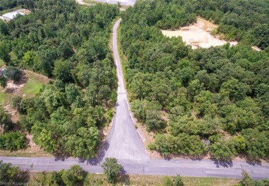 Build your dream home next to Tannenbaum Golf Course! 20 on Tannenbaum Golf Club in Arkansas - for sale on GolfHomes.com, golf home, golf lot
