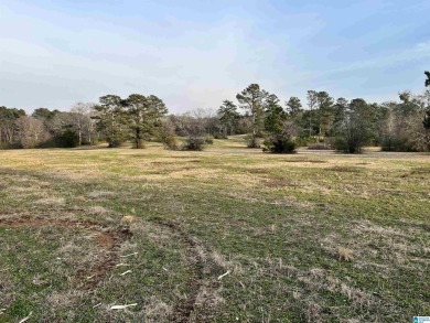 Looking for acreage in a great location, this 9.43 acre m/l on Pine Harbor Golf and Racquet Club in Alabama - for sale on GolfHomes.com, golf home, golf lot