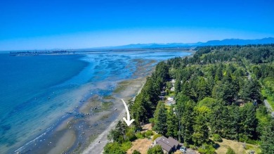 Rare Waterfront Cottage on the West Side - A Pacific Northwest on Point Roberts Golf and Country Club in Washington - for sale on GolfHomes.com, golf home, golf lot