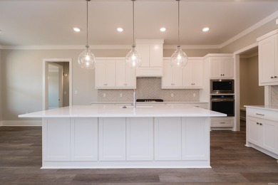 Beautiful all-brick new construction home on a level lot in the on The Country Club of Arkansas in Arkansas - for sale on GolfHomes.com, golf home, golf lot