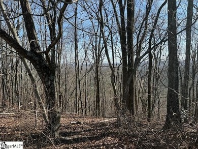 An exceptional ridge-top offering within The Cliffs at Glassy on The Cliffs at Glassy Golf and Country Club in South Carolina - for sale on GolfHomes.com, golf home, golf lot