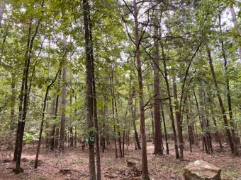Lovely residential lot in the beautiful Tannenbaum community.  on Tannenbaum Golf Club in Arkansas - for sale on GolfHomes.com, golf home, golf lot