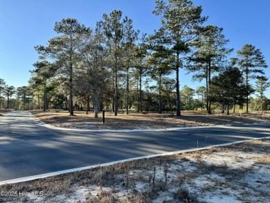 Dream Big at 7575 Haddington Place SW! Discover the perfect on Sea Trail Golf Resort in North Carolina - for sale on GolfHomes.com, golf home, golf lot