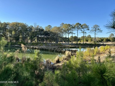 Dream Big at 7575 Haddington Place SW! Discover the perfect on Sea Trail Golf Resort in North Carolina - for sale on GolfHomes.com, golf home, golf lot
