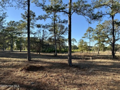Dream Big at 7575 Haddington Place SW! Discover the perfect on Sea Trail Golf Resort in North Carolina - for sale on GolfHomes.com, golf home, golf lot