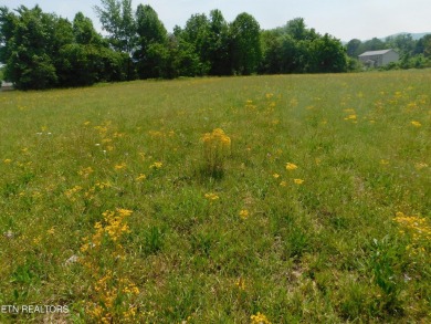 Beautiful 2.75 LEVEL ACRES in the heart of the residential on Middlesboro Country Club in Kentucky - for sale on GolfHomes.com, golf home, golf lot